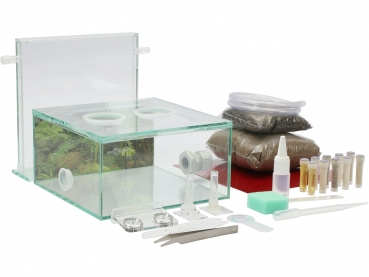 ANTCUBE Starter Set M - 20x20 - Regenwald